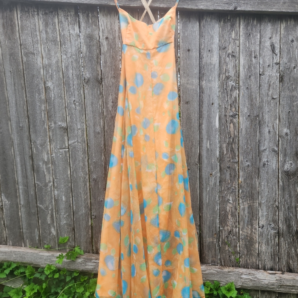 Vintage Cottagecore Orange Dream Gown